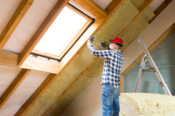 Best Commercial Insulation Services  in Pocahontas, IA